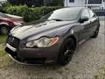 Jaguar XF 3,0 Diesel S Premium Luxury Grau - thumbnail 6