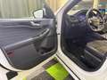Ford Kuga 2.5 Duratec PHEV ST-Line X 4x2 Blanc - thumbnail 24
