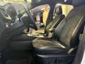 Ford Kuga 2.5 Duratec PHEV ST-Line X 4x2 Blanc - thumbnail 16