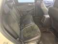 Ford Kuga 2.5 Duratec PHEV ST-Line X 4x2 Blanc - thumbnail 14