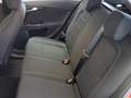 Fiat Tipo *TEMPOMAT KLIMA* Rot - thumbnail 22