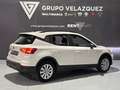 SEAT Arona 1.0 TSI S&S Style XM 110 Blanc - thumbnail 12
