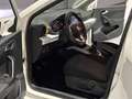 SEAT Arona 1.0 TSI S&S Style XM 110 Blanc - thumbnail 20