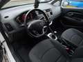 Kia Rio 1.2 CVVT BusinessLine LEES TEKST Blanco - thumbnail 7