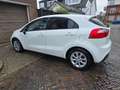 Kia Rio 1.2 CVVT BusinessLine LEES TEKST Blanco - thumbnail 4