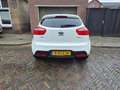 Kia Rio 1.2 CVVT BusinessLine LEES TEKST Blanco - thumbnail 6