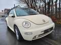 Volkswagen New Beetle New Beetle Cabriolet Cabriolet 1.6 Weiß - thumbnail 8