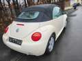 Volkswagen New Beetle New Beetle Cabriolet Cabriolet 1.6 Weiß - thumbnail 3
