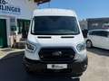 Ford Transit Kasten 2,0 Eco Blue AWD 350 L2H2Trend *ALLRAD* Weiß - thumbnail 3