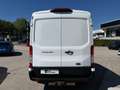 Ford Transit Kasten 2,0 Eco Blue AWD 350 L2H2Trend *ALLRAD* Weiß - thumbnail 5