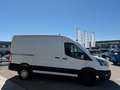 Ford Transit Kasten 2,0 Eco Blue AWD 350 L2H2Trend *ALLRAD* Weiß - thumbnail 4