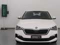 Skoda Scala 1.0 TSI 110 CV DSG Ambition Bianco - thumbnail 3