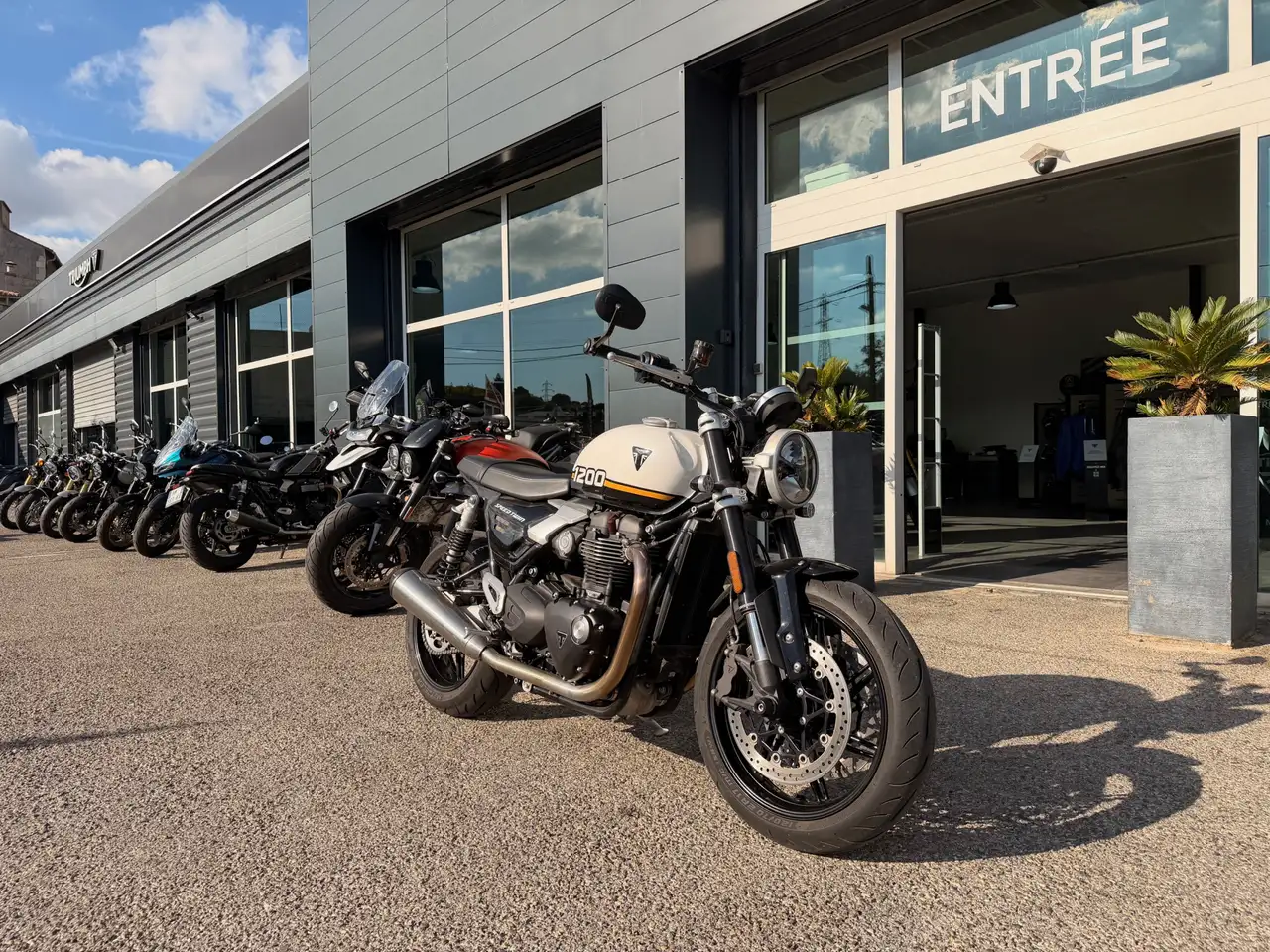 Triumph Speed Twin