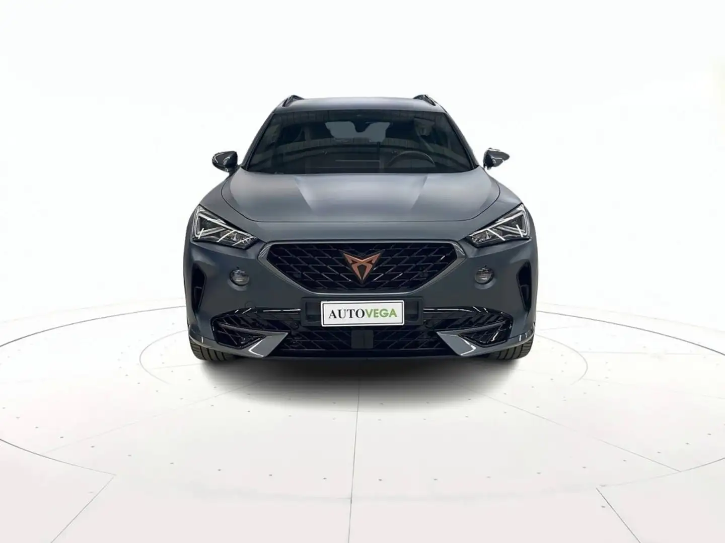 CUPRA Formentor 2.0 tsi vz 4drive 310cv dsg Gris - 2