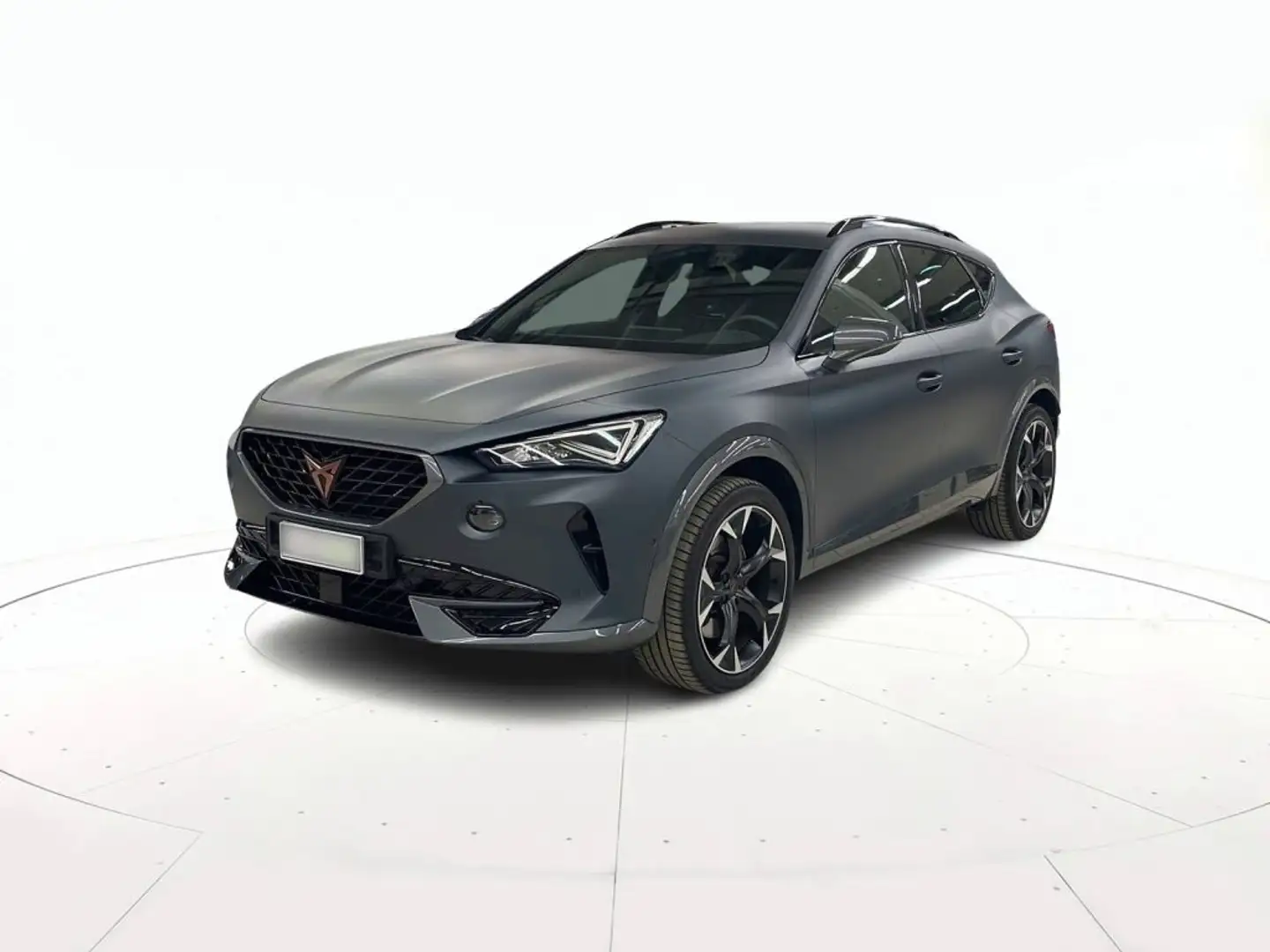CUPRA Formentor 2.0 tsi vz 4drive 310cv dsg Gris - 1