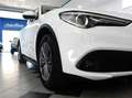 Alfa Romeo Stelvio 2.2 MJT 190 CV AT8 Q4 BUSINESS Weiß - thumbnail 11