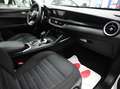 Alfa Romeo Stelvio 2.2 MJT 190 CV AT8 Q4 BUSINESS Weiß - thumbnail 28