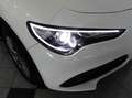 Alfa Romeo Stelvio 2.2 MJT 190 CV AT8 Q4 BUSINESS Weiß - thumbnail 12