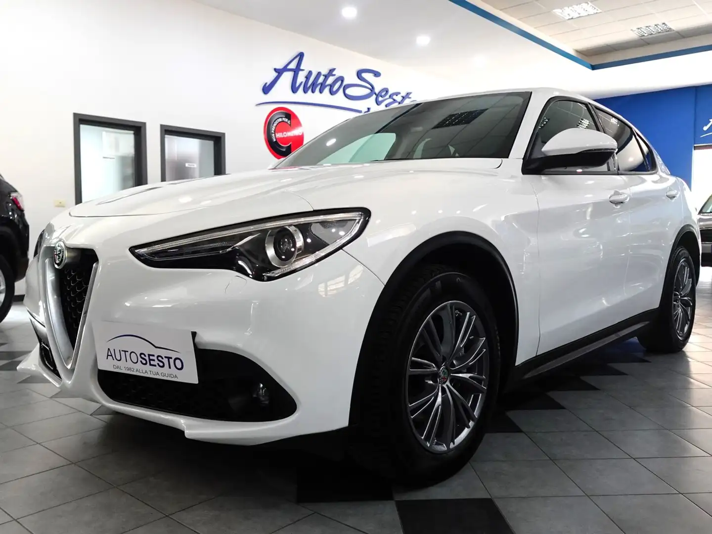 Alfa Romeo Stelvio 2.2 MJT 190 CV AT8 Q4 BUSINESS Weiß - 2