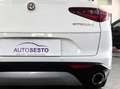Alfa Romeo Stelvio 2.2 MJT 190 CV AT8 Q4 BUSINESS Weiß - thumbnail 7