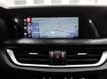 Alfa Romeo Stelvio 2.2 MJT 190 CV AT8 Q4 BUSINESS Weiß - thumbnail 22