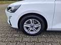 Ford Focus 1,5 EcoBlue Cool & Connect LED Navi Rf Blanc - thumbnail 3