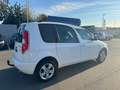 Skoda Roomster *FRESH*AHK*SITZH*PDC*KLIMAAUTO Weiß - thumbnail 10