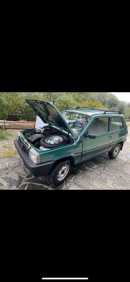 Fiat Panda 1.1 Country Club 4x4 bl.porte/alz.elet., foto 1