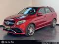 Mercedes-Benz PANORAMA-SPORT.AGA-DTR+ Rood - thumbnail 1