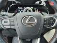 Lexus NX 450h+ 450h+ 4WD Luxe MY24 GPS Camera Gris - thumbnail 17