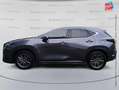 Lexus NX 450h+ 450h+ 4WD Luxe MY24 GPS Camera Сірий - thumbnail 4