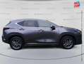 Lexus NX 450h+ 450h+ 4WD Luxe MY24 GPS Camera Gris - thumbnail 11