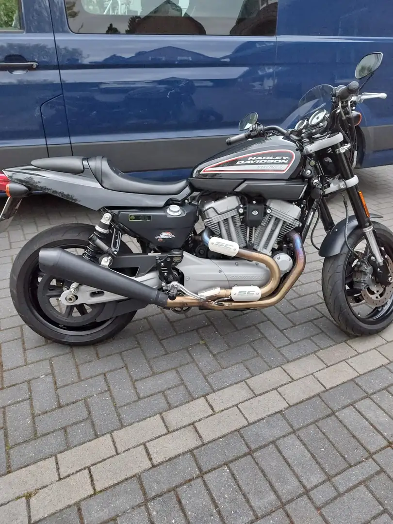 Harley-Davidson XR 1200 - 2