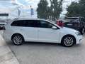 Volkswagen Golf Variant 1.4 TGI Highline BlueMotion metano prezzo reale Bianco - thumbnail 10