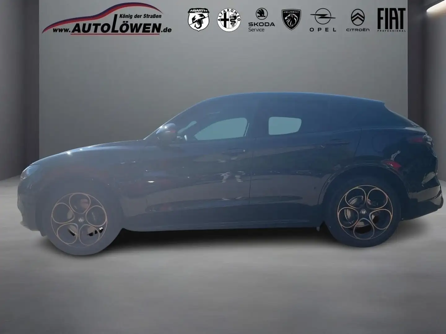 Alfa Romeo Stelvio 2.0 Turbo 16V Competizione Q4 (EURO 6d) Schwarz - 2