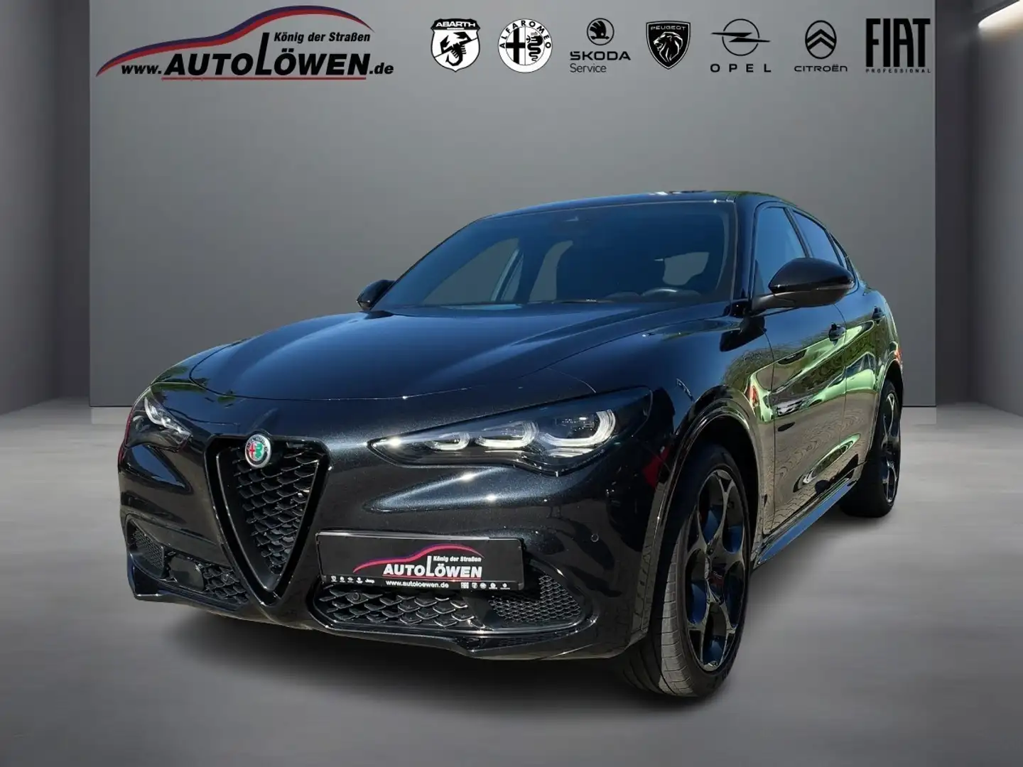 Alfa Romeo Stelvio 2.0 Turbo 16V Competizione Q4 (EURO 6d) - 1