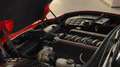 Corvette C5 LS1 5.7 V8 345CV UNICO PROPRIETARIO Rot - thumbnail 16