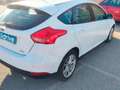 Ford Focus 1.0 Ecoboost Auto-S&S Titanium 125 Blanco - thumbnail 6