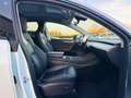 Tesla Model Y PERFORMANCE DUAL MOTOR AWD *UNIPROP* Bianco - thumbnail 13