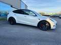 Tesla Model Y PERFORMANCE DUAL MOTOR AWD *UNIPROP* Bianco - thumbnail 38