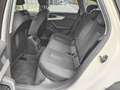 Audi A4 allroad 2.0 TDI 190 CV S tronic VIRTUAL, ADAPTIVE CC Bianco - thumbnail 12