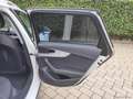 Audi A4 allroad 2.0 TDI 190 CV S tronic VIRTUAL, ADAPTIVE CC Blanc - thumbnail 20