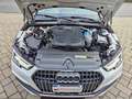Audi A4 allroad 2.0 TDI 190 CV S tronic VIRTUAL, ADAPTIVE CC Blanc - thumbnail 23
