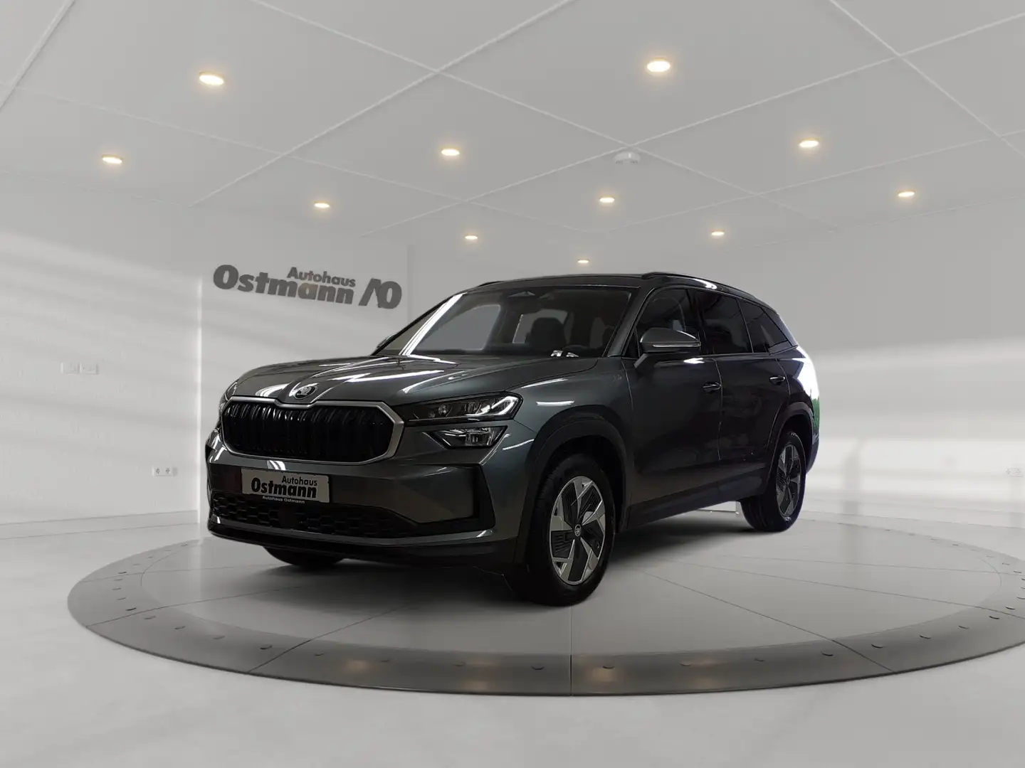 Skoda Kodiaq 2.0 TDI DSG AHK ACC RFK PDC NAVI FSE Grau - 1