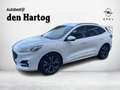 Ford Kuga 2.5 PHEV ST-Line X Stoel en stuurverwarming/Trekha Alb - thumbnail 1