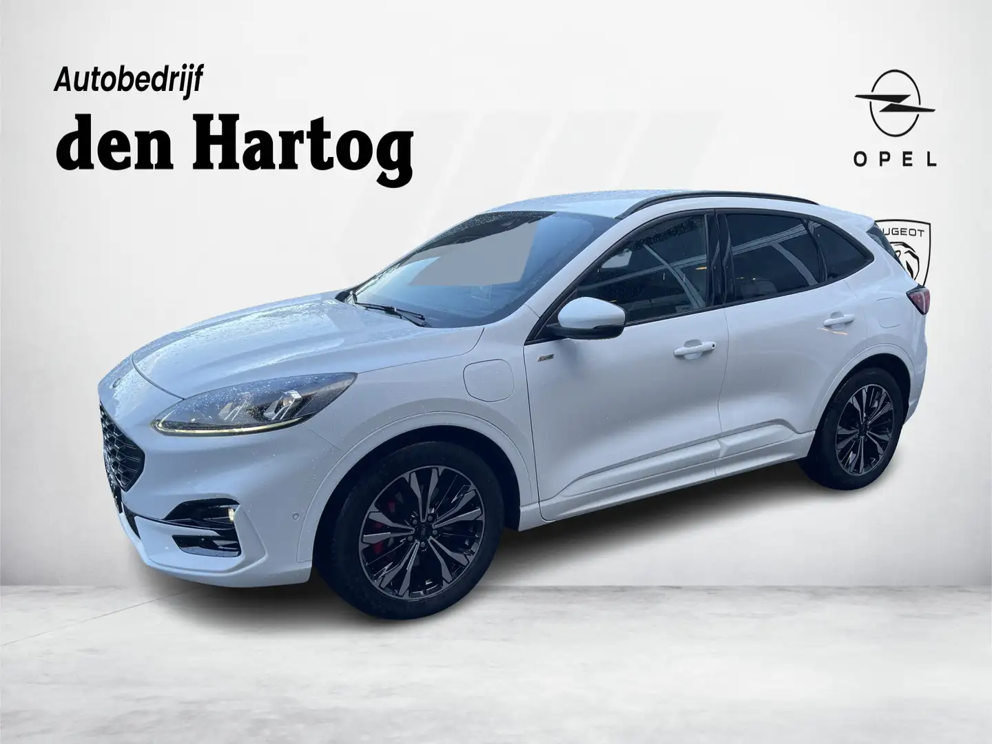 Ford Kuga 2.5 PHEV ST-Line X Stoel en stuurverwarming/Trekha Alb - 1