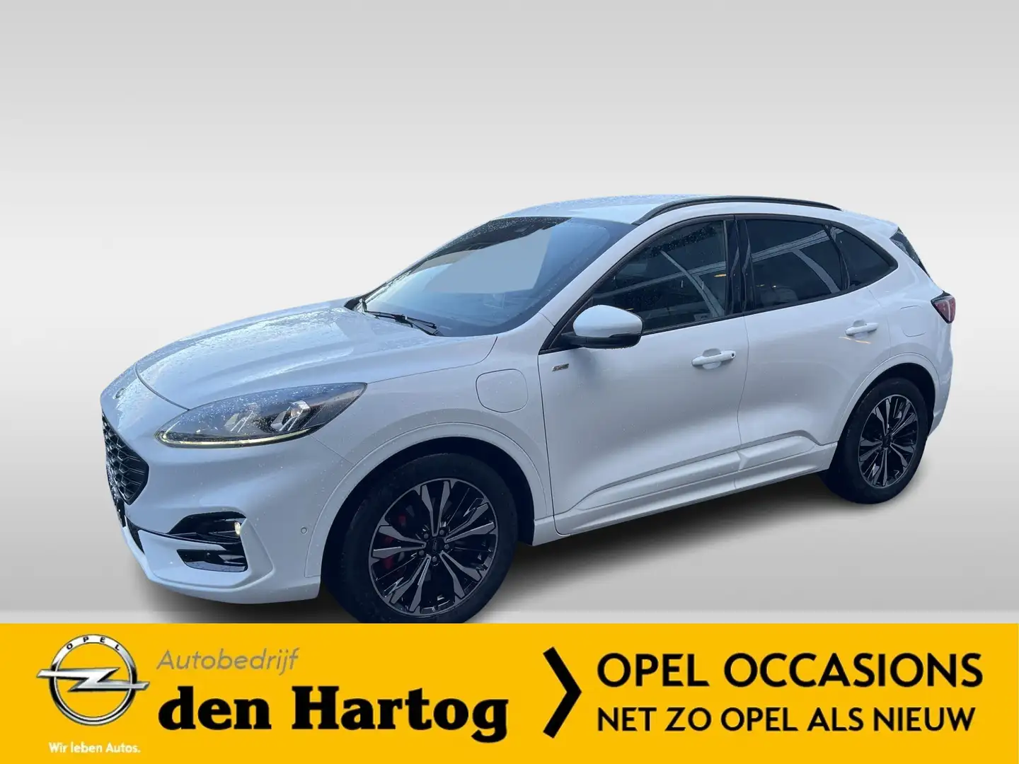 Ford Kuga 2.5 PHEV ST-Line X Stoel en stuurverwarming/Trekha Blanc - 1