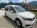 Volkswagen Caddy Caddy Kombi Maxi Comfortline 2,0 TDI 4MOTION Blanc - thumbnail 5