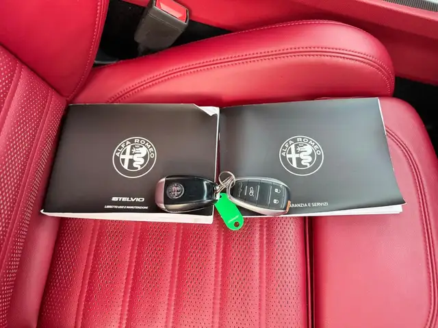 Alfa Romeo Stelvio view 14