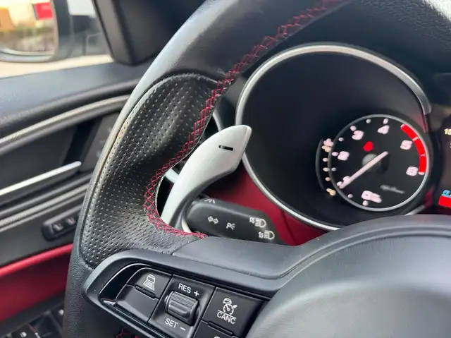 Alfa Romeo Stelvio view 16